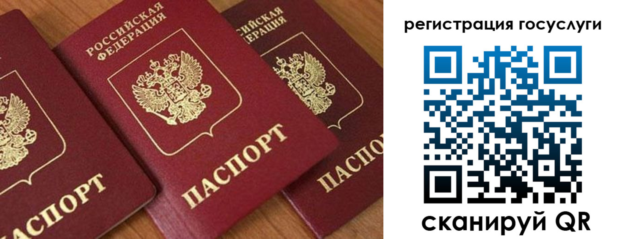 временная регистрация гарантия в Оренбурге
